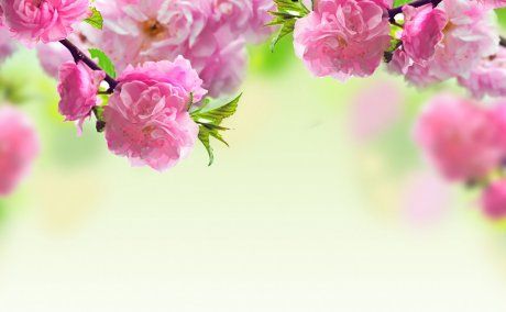 KADİR GECEMİZ MÜBAREK OLSUN