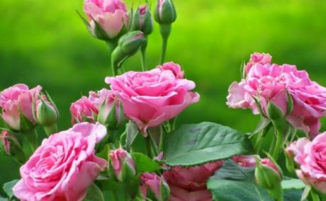 Kadir Gecemiz Mübarek Olsun