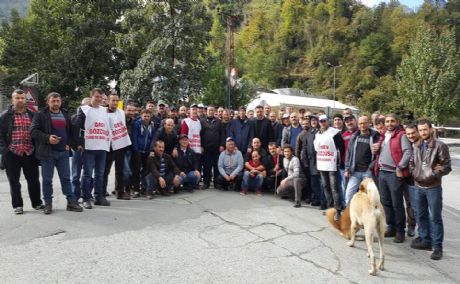 Mücadelemiz Kararlılıkla Devam Ediyor