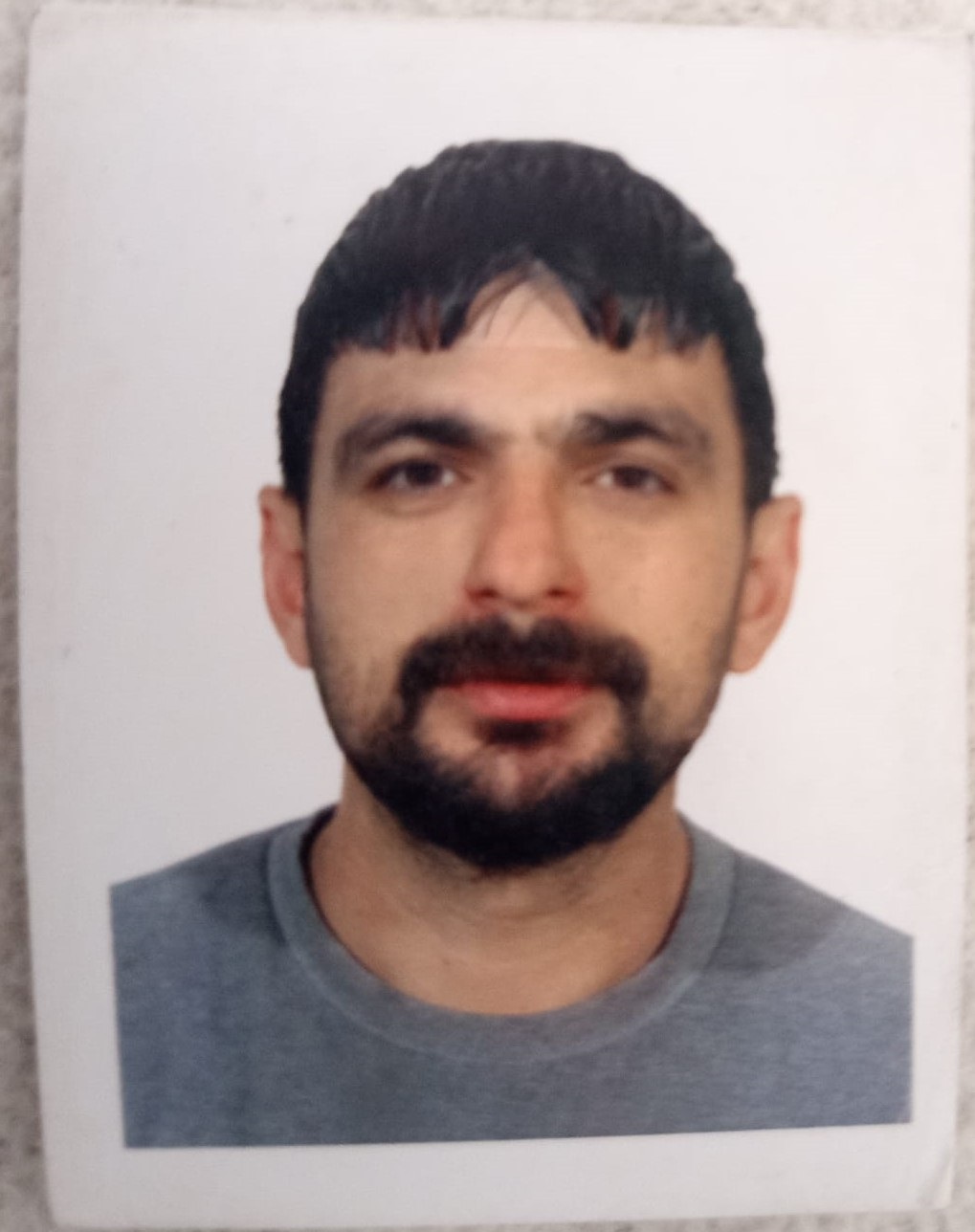 Volkan Mutlu